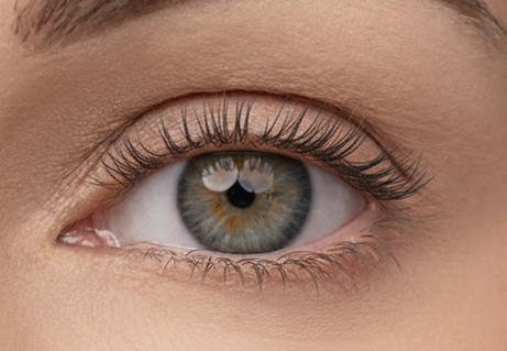 Close-up of an eye with longer, fuller eyelashes after using the serum
